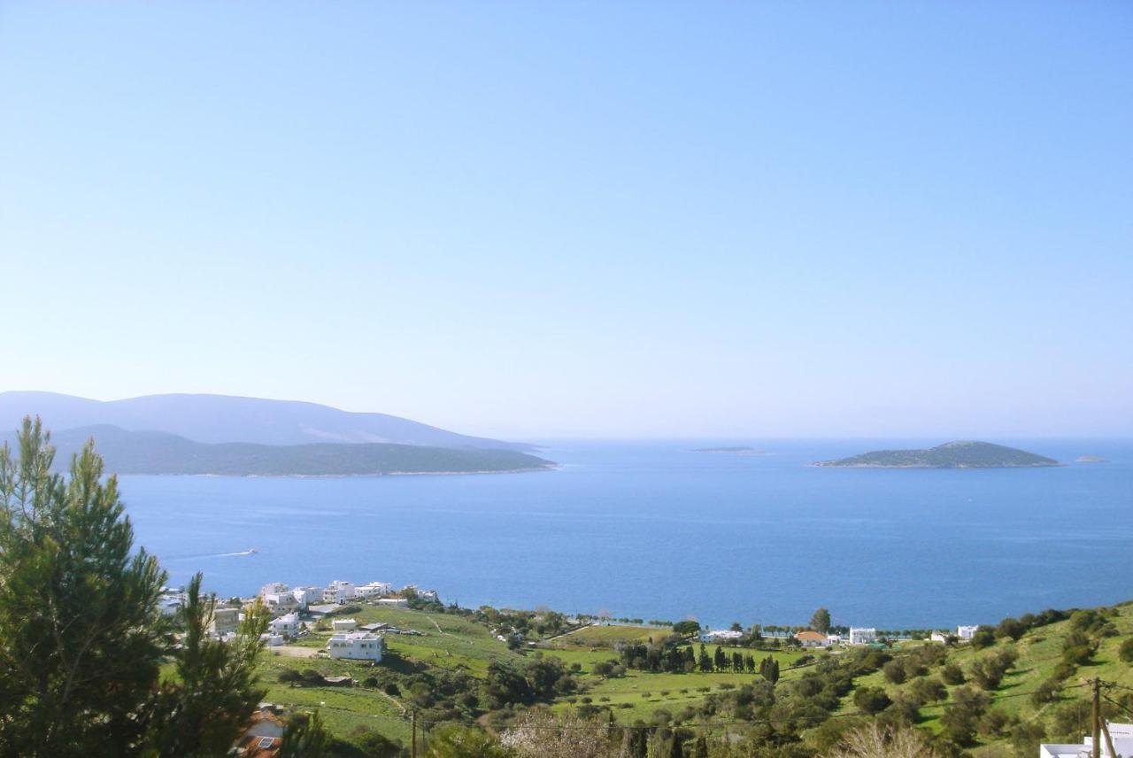 Marmari View Villa Eksteriør billede
